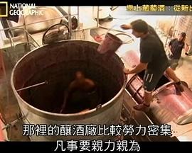 恋上葡萄酒封面图