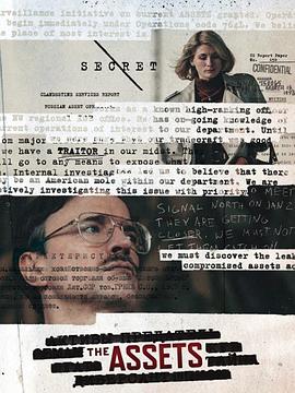 谍海浮沉封面图