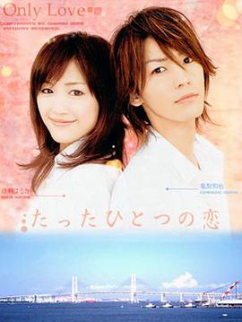 唯一的爱封面图