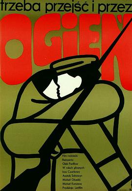 火中无渡口封面图