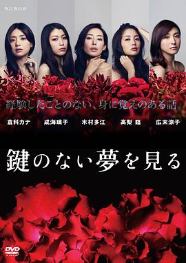 没有钥匙的梦封面图