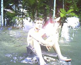 记忆，海边的男孩封面图