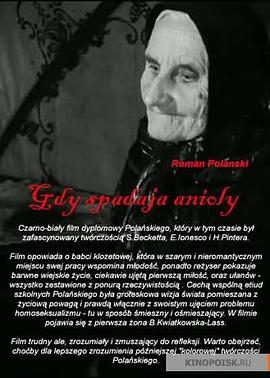 当天使坠落封面图