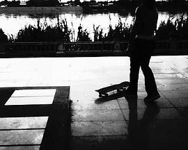 仙人掌之河封面图