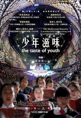 少年滋味封面图