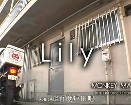 Lily封面图