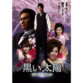 黑色太阳封面图