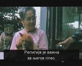 大野一雄：我舞踏進光里封面图