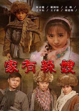 家有辣嫂封面图