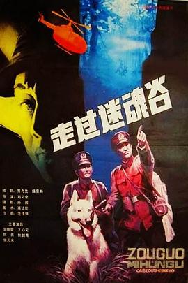 走过迷魂谷封面图