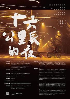 十六公里长的夜封面图
