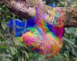 Now, At Last封面图