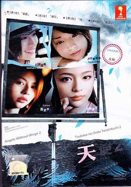 折翼的天使们2封面图