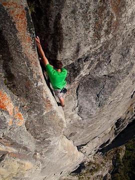 霍诺德3.0封面图