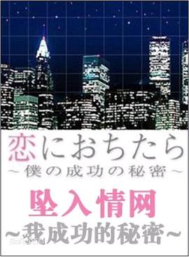 坠入爱河～我成功的秘密封面图