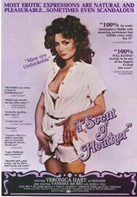 欲火高涨封面图