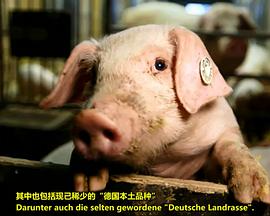 我们的香肠有多棒？封面图