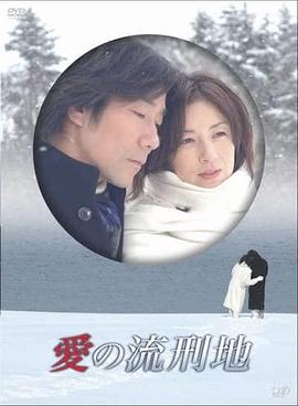 愛の流刑地封面图