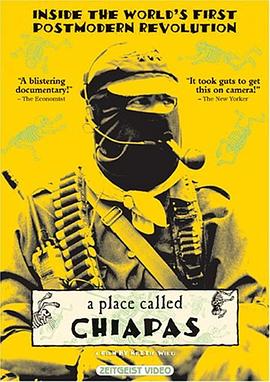 萨帕塔民族解放运动封面图