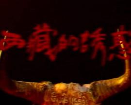 西藏的诱惑封面图