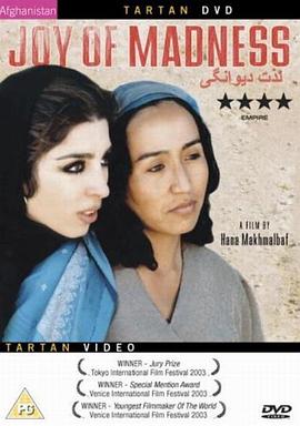 疯狂的快乐封面图