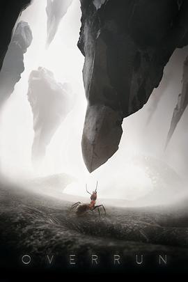 蚂蚁的旅程封面图