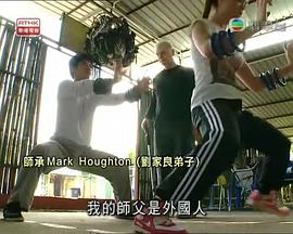 功夫传奇2：再战江湖封面图