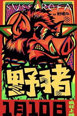 野猪封面图