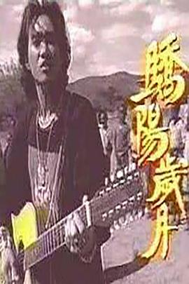 骄阳岁月封面图