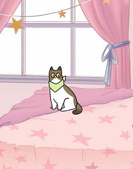 爱翻垃圾的猫封面图