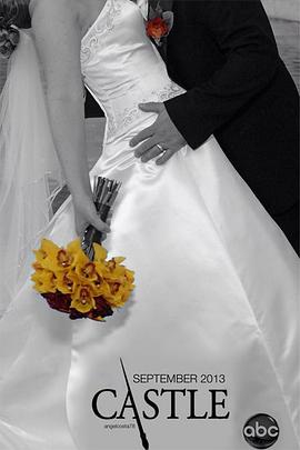 灵书妙探 第六季封面图