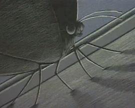 午夜狂想曲封面图