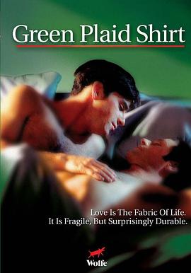 绿格子衬衫封面图