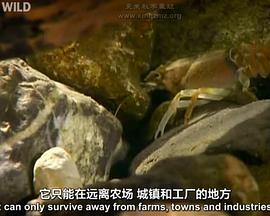 国家地理：巴伐利亚奇幻国度封面图