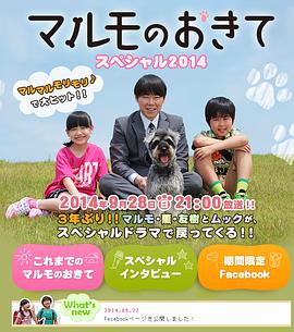 高护木的规矩 SP2014封面图