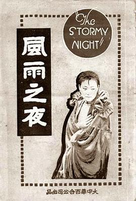 风雨之夜封面图