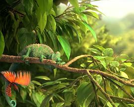 我们的奇妙大自然之常见的变色龙封面图