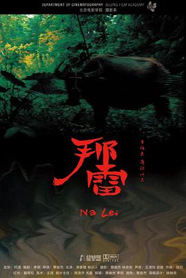 那雷封面图