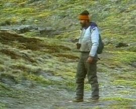 国家地理：白狼封面图