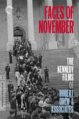 十一月的面孔封面图