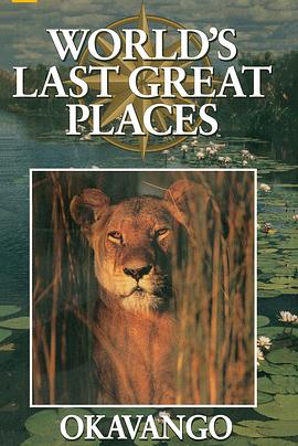 神秘三角洲封面图