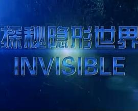 探秘隐形世界封面图