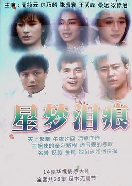星梦泪痕封面图