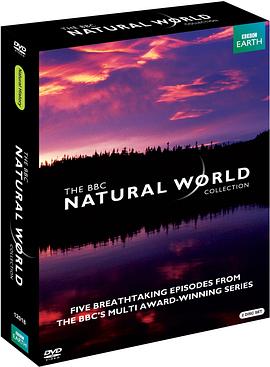 自然世界：北部森林的驭熊者封面图