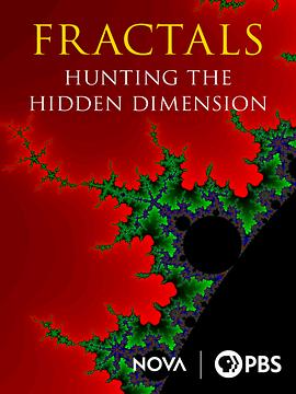 寻找隐秘的维度封面图