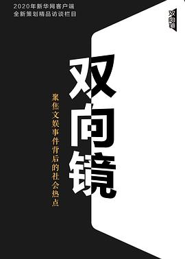 双向镜封面图