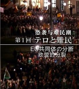 恐袭与难民潮 欧盟的分裂封面图