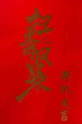 缉毒风暴封面图