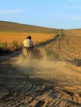 最后的鞑靼人与他们的清真寺封面图