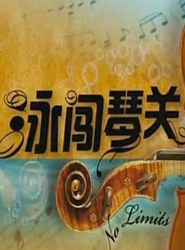 泳闯琴关封面图